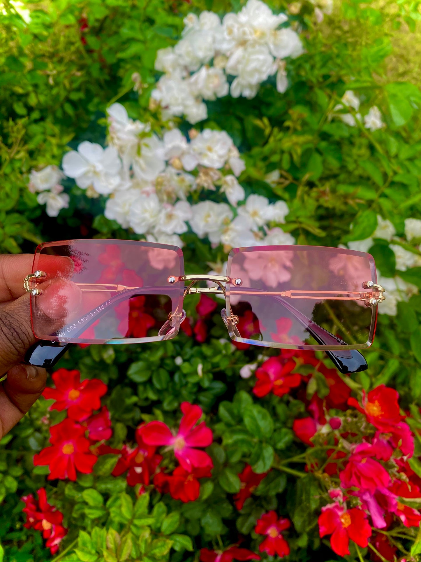 Daddy Shades (Pink)